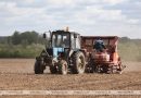 Белорусские аграрии высадили картофель на 81,3% площадей
