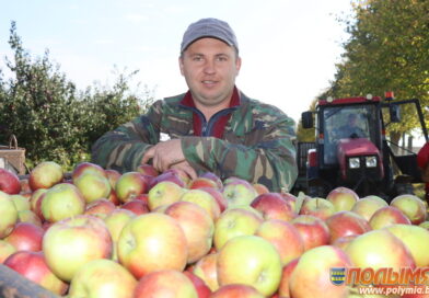 Самое сладкое — белорусское. Как в СПК «Жуховичи» готовят сад к новому урожаю