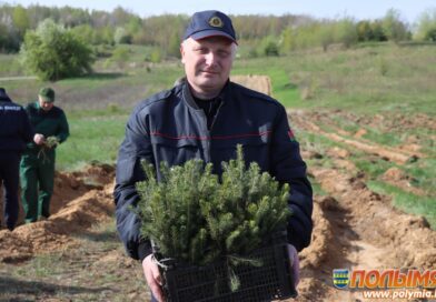 Алексей Гаврош: «Лес закладываем для наших детей и внуков»
