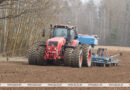 В Беларуси овощи посадили на более чем 26% площадей